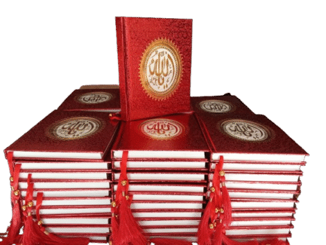 IMG_20240930_080048-removebg-preview