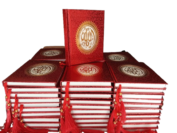 IMG_20240930_080048-removebg-preview